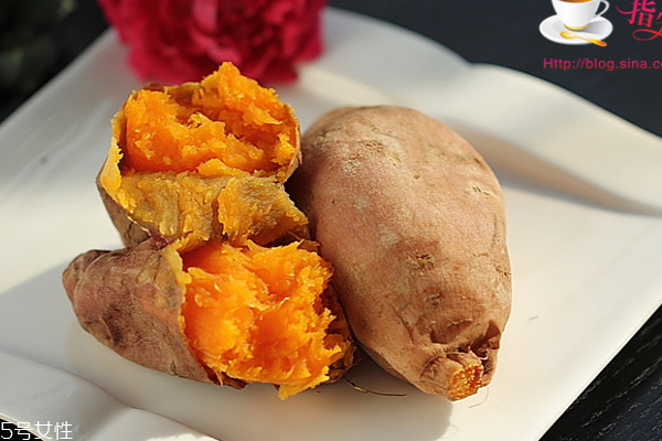 紅薯怎么保存不會爛掉 老方法才最實用 紅薯怎么保存不會爛掉 老方法才最實用