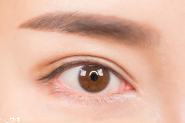 kate三色眉粉怎么樣好用嗎 kate三色眉粉畫眉教程 kate三色眉粉怎么樣好用嗎 kate三色眉粉畫眉教程