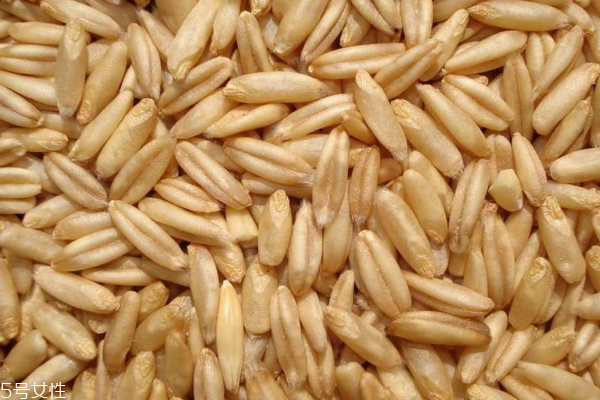 燕麥是粗糧嗎 屬于粗糧類 燕麥是粗糧嗎 屬于粗糧類