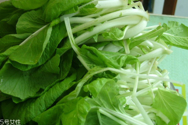 小白菜能生吃嗎 可以這樣吃 小白菜能生吃嗎 可以這樣吃