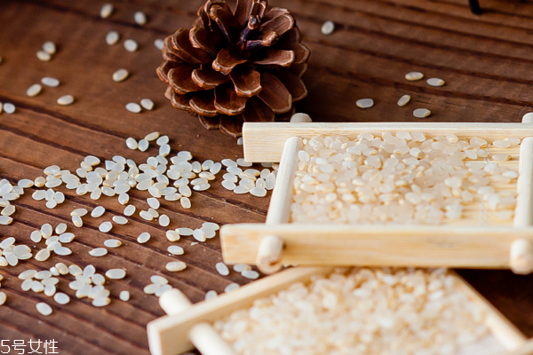 大米會長什么蟲 它叫米象蟲 大米會長什么蟲 它叫米象蟲