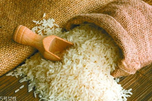 大米會長什么蟲 它叫米象蟲 大米會長什么蟲 它叫米象蟲