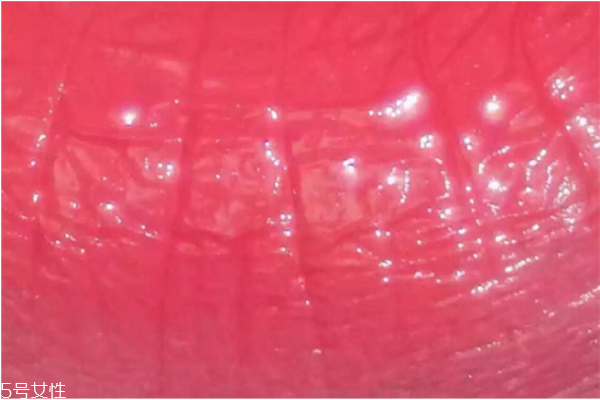 紀(jì)梵?？诩t301是什么顏色 紀(jì)梵希口紅301試色