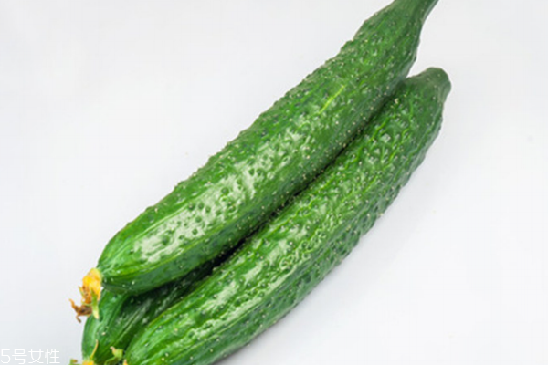 黃瓜為什么澀 正?，F(xiàn)象