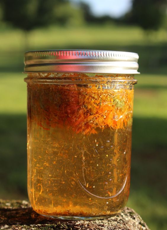 金盞花護(hù)膚品自制教程 3樣diy金盞花護(hù)膚品 金盞花護(hù)膚品自制教程 3樣diy金盞花護(hù)膚品