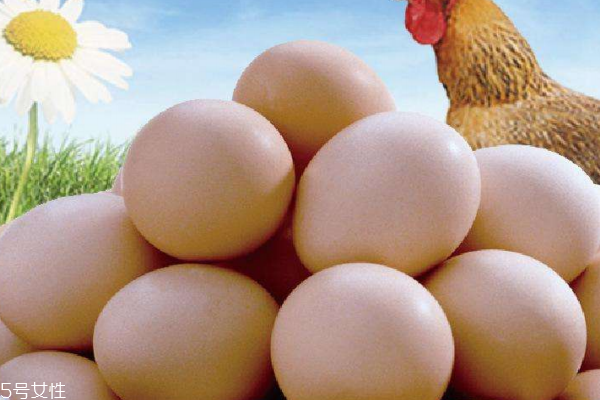 雞蛋為什么不能洗 容易變質(zhì) 雞蛋為什么不能洗 容易變質(zhì)
