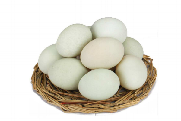 鴨蛋為什么有白的和青的 與鴨子種類(lèi)有關(guān)