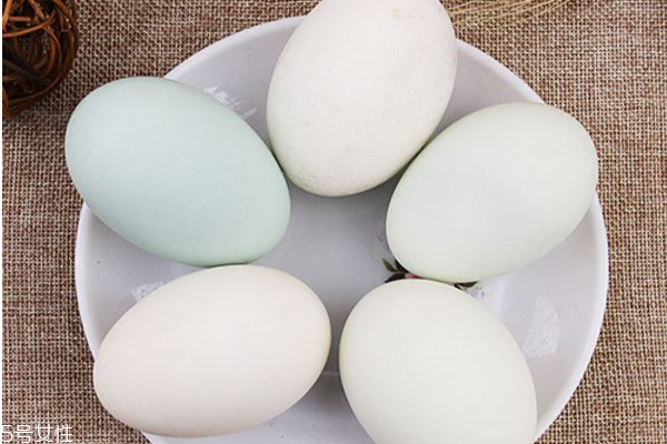 鴨蛋為什么不能做蛋糕 因為禁忌太多