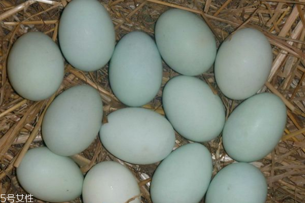 鴨蛋為什么不能做蛋糕 因為禁忌太多