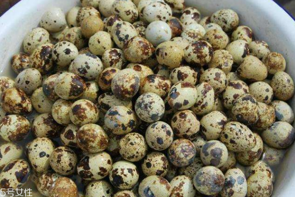 鵪鶉蛋可以豐胸嗎 不容錯(cuò)過的豐胸法