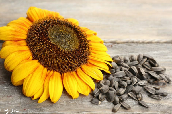 瓜子有點(diǎn)變味了怎么辦 可能是變質(zhì)了 瓜子有點(diǎn)變味了怎么辦 可能是變質(zhì)了