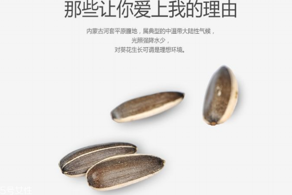 瓜子有點(diǎn)變味了怎么辦 可能是變質(zhì)了 瓜子有點(diǎn)變味了怎么辦 可能是變質(zhì)了