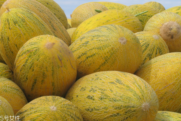 哈密瓜切開放冰箱幾天 一兩天沒問題 哈密瓜切開放冰箱幾天 一兩天沒問題