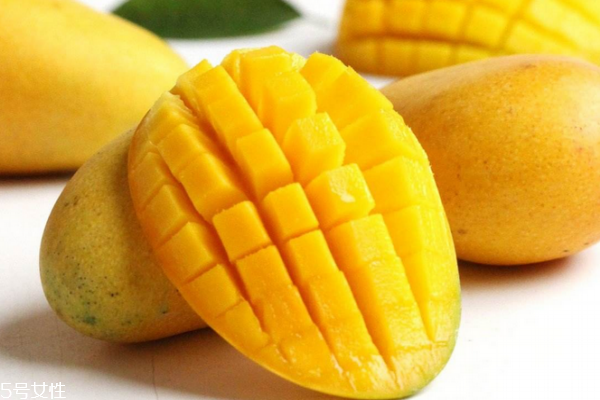 芒果為什么不能放冰箱 熱帶水果 芒果為什么不能放冰箱 熱帶水果