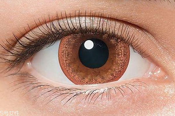 美瞳日拋適合初學者嗎 日拋美瞳的優(yōu)缺點