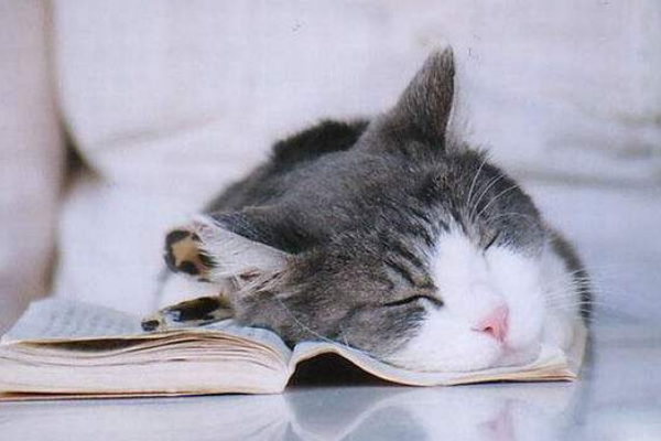 論睡姿的重要性 論睡姿的重要性