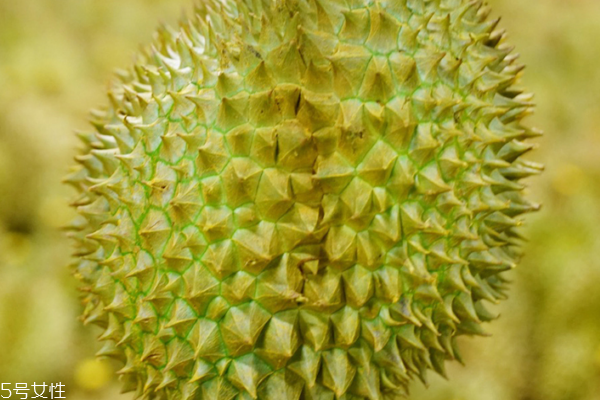 榴蓮是一年四季都有嗎 每個(gè)季節(jié)都能吃到 榴蓮是一年四季都有嗎 每個(gè)季節(jié)都能吃到
