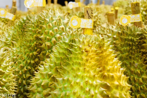 榴蓮是一年四季都有嗎 每個(gè)季節(jié)都能吃到 榴蓮是一年四季都有嗎 每個(gè)季節(jié)都能吃到