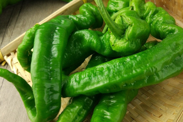 多吃紅辣椒有什么好處？紅辣椒和青辣椒區(qū)別大
