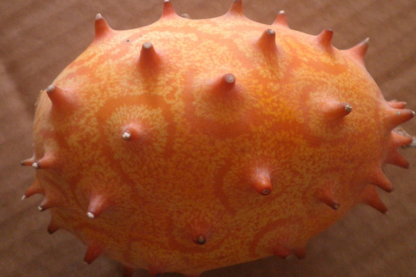 火參果是什么味道？火參果適宜在干燥炎熱地區(qū)種植