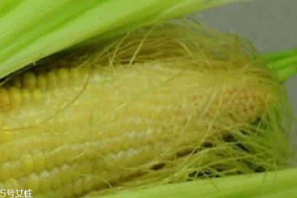 玉米須能治痛風(fēng)嗎 可幫助痛風(fēng)患者緩解 玉米須能治痛風(fēng)嗎 可幫助痛風(fēng)患者緩解