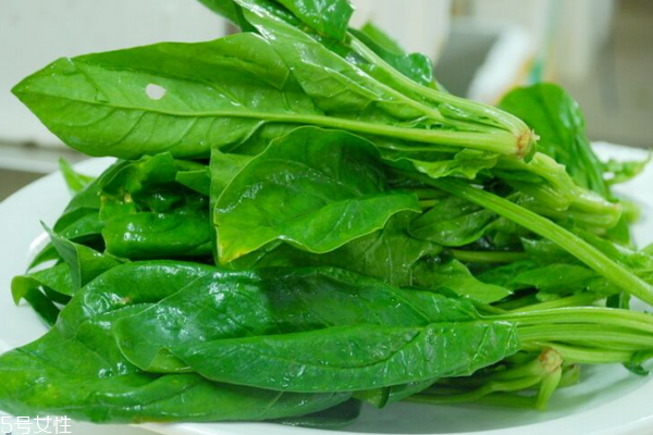 菠菜為什么要焯水 有利于人體吸收 菠菜為什么要焯水 有利于人體吸收