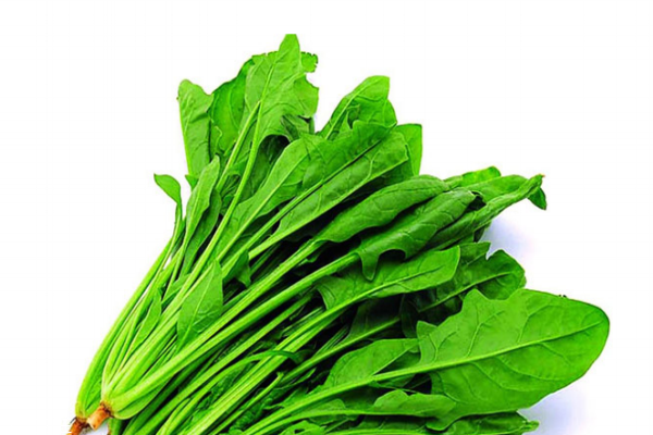 菠菜為什么要焯水 有利于人體吸收 菠菜為什么要焯水 有利于人體吸收