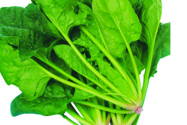 菠菜為什么要焯水 有利于人體吸收 菠菜為什么要焯水 有利于人體吸收