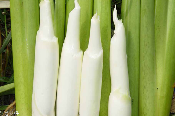 茭白為什么下奶 因?yàn)橛羞@些成分 茭白為什么下奶 因?yàn)橛羞@些成分