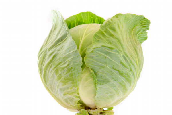 白菜怎么洗才干凈 這樣洗就對了 白菜怎么洗才干凈 這樣洗就對了