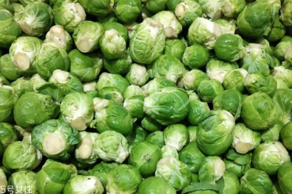 包菜為什么要手撕 手撕更美味 包菜為什么要手撕 手撕更美味