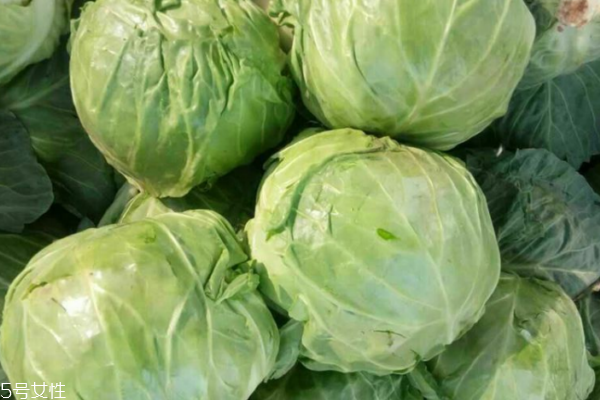 包菜怎么挑選 這樣選最好吃 包菜怎么挑選 這樣選最好吃