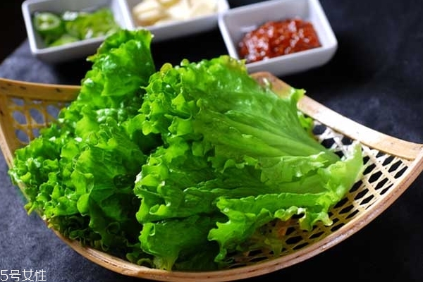 生菜為什么不長蟲 真相是這樣 生菜為什么不長蟲 真相是這樣