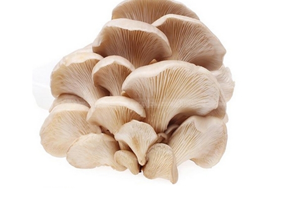 蘑菇需要煮多久能熟 五分鐘就夠了 蘑菇需要煮多久能熟 五分鐘就夠了