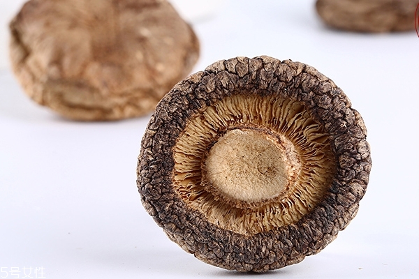 香菇為什么要去蒂 去蒂口感更好 香菇為什么要去蒂 去蒂口感更好