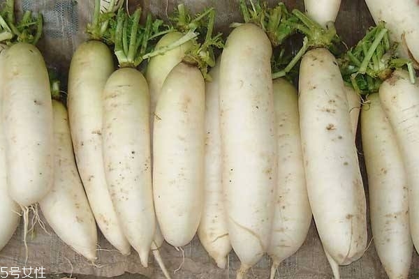 白蘿卜可以和土豆一起吃嗎 兩者沒有沖突 白蘿卜可以和土豆一起吃嗎 兩者沒有沖突