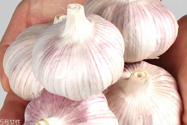 大蒜為什么能殺菌 是這個(gè)原因 大蒜為什么能殺菌 是這個(gè)原因