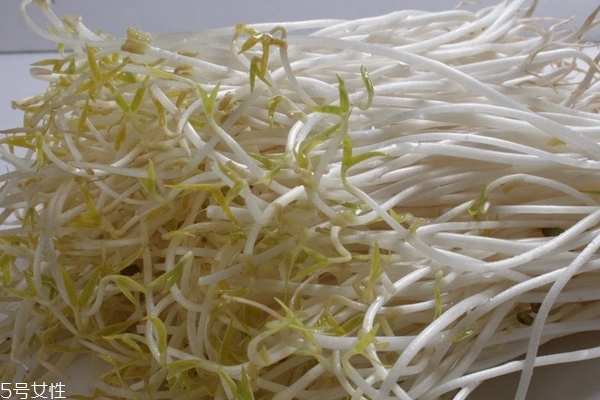 豆芽為什么苦 4個(gè)原因 豆芽為什么苦 4個(gè)原因