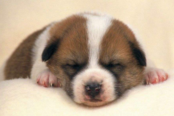 小測(cè)試睡的久就代表精神好嗎 小測(cè)試睡的久就代表精神好嗎