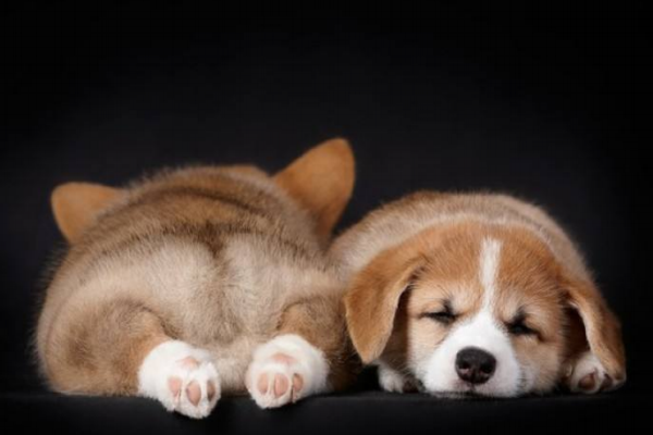 小測(cè)試睡的久就代表精神好嗎 小測(cè)試睡的久就代表精神好嗎