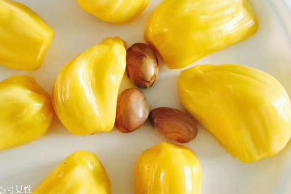 菠蘿蜜怎么切 看完你就學會了