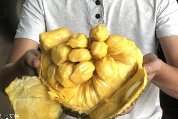 菠蘿蜜為什么不能和蜂蜜一起吃 會導致腹脹