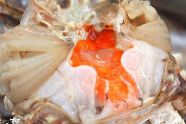 母大閘蟹腿上有毛嗎 只在前邊兩條腿上有細細的絨毛 母大閘蟹腿上有毛嗎 只在前邊兩條腿上有細細的絨毛