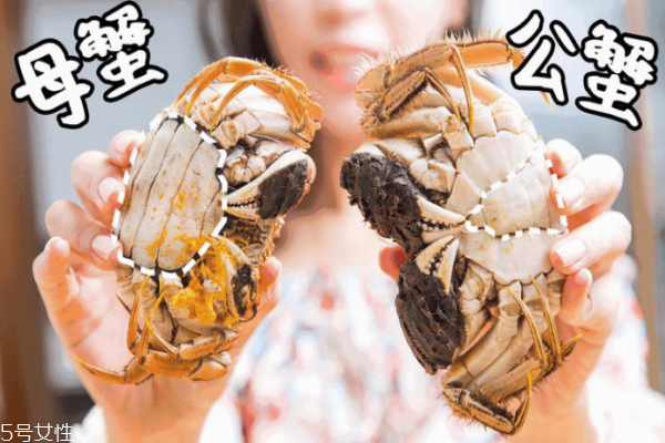 母大閘蟹腿上有毛嗎 只在前邊兩條腿上有細細的絨毛 母大閘蟹腿上有毛嗎 只在前邊兩條腿上有細細的絨毛