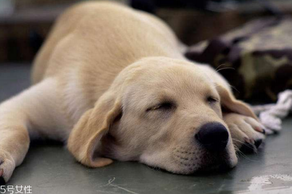 在辦公室里正確的午休方式 在辦公室里正確的午休方式