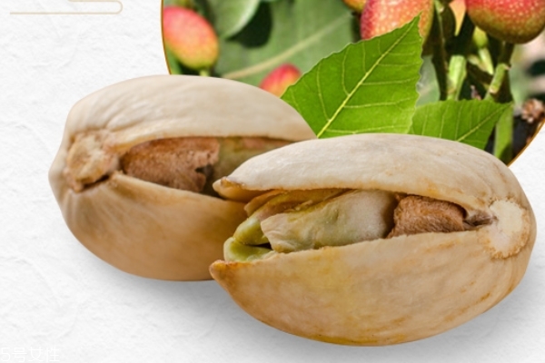 開心果為什么是咸的 因?yàn)榧庸み^ 開心果為什么是咸的 因?yàn)榧庸み^