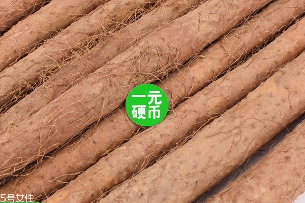 山藥怎么弄成泥 其實很簡單 山藥怎么弄成泥 其實很簡單