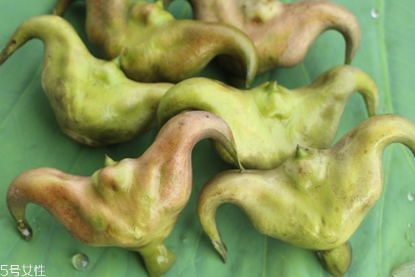 菱角沒煮熟可以吃嗎 這個(gè)有講究