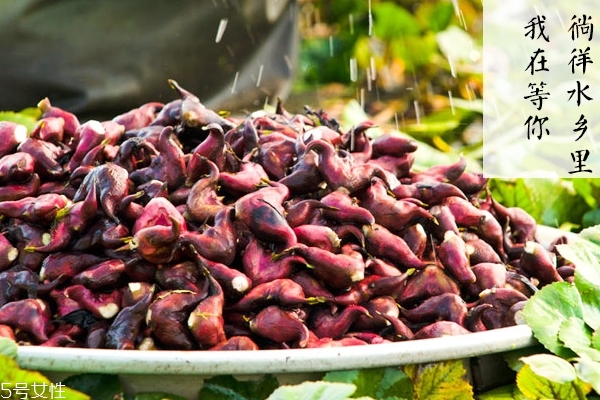 菱角為什么是黑的 可能是氧化了 菱角為什么是黑的 可能是氧化了