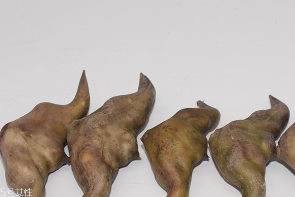 菱角為什么苦 是正常的 菱角為什么苦 是正常的